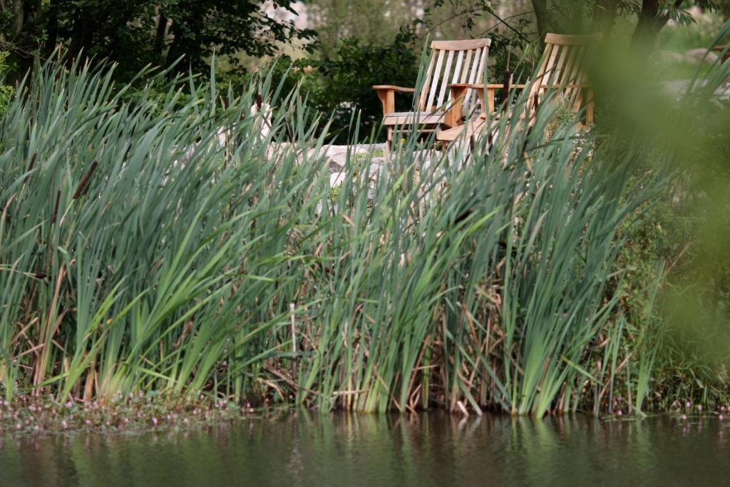 Gutshaus Parin - Bio- Und Gesundheitshotel * Moor-Rolofshagen